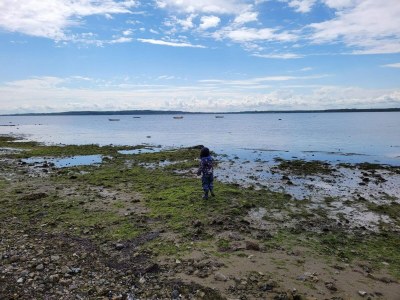 Holiday house 8 person holiday home in Ølsted-By Traum - Outdoor photo 32