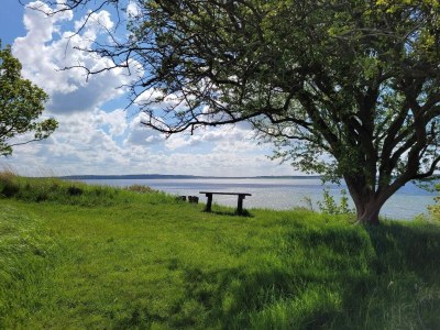 Holiday house 8 person holiday home in Ølsted-By Traum - Outdoor photo 48