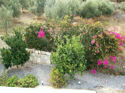 Villa Villa auf Kreta mit Pool und Meerblick - Outdoor photo 13