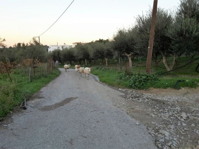 Villa Villa auf Kreta mit Pool und Meerblick - Environment photo 32
