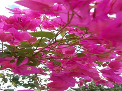 Villa Villa auf Kreta mit Pool und Meerblick - Outdoor photo 39