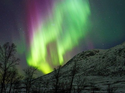 Holiday house 6 Personen Ferienhaus in Senjahopen-By Traum - Outdoor photo 22