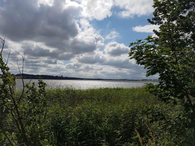 Holiday house 5 Personen Ferienhaus in Hejls - Outdoor photo 8