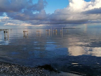 Holiday house 5 Personen Ferienhaus in Hejls - Outdoor photo 10