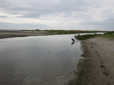 Holiday house 5 person holiday home in Hals-By Traum - Outdoor photo 13