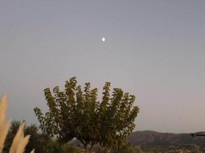 Villa Villa in Hersonissos with Lush Garden - Environment photo 24