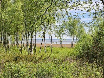 Holiday house Luxurioses Spa-Retreat am Meer -- By Traum Ferienwohnungen - Outdoor photo 21