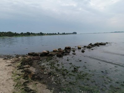 Holiday house 4 person holiday home in Haderslev-By Traum - Outdoor photo 17