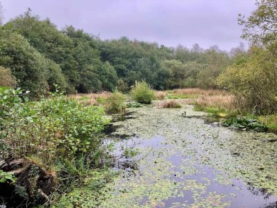 Holiday house 6 person holiday home in Ansager - Outdoor photo 12