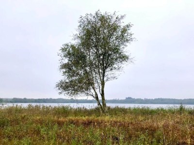 Holiday house 6 person holiday home in Ansager - Outdoor photo 15