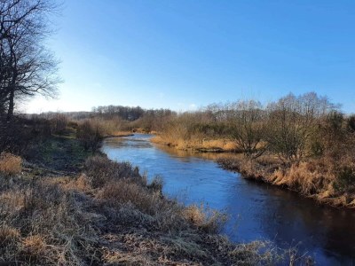 Holiday house 6 person holiday home in Ansager - Outdoor photo 16