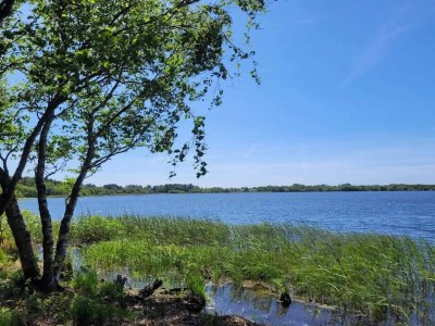 Holiday house 6 person holiday home in Ansager - Outdoor photo 30