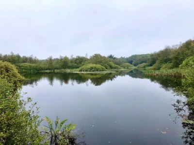 Holiday house 6 person holiday home in Ansager - Outdoor photo 31