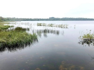 Holiday house 6 person holiday home in Ansager - Outdoor photo 36