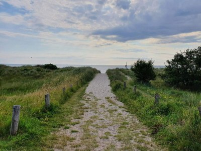 Holiday house 4 Personen Ferienhaus in Gedser - Outdoor photo 18