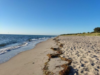 Holiday house 4 Personen Ferienhaus in Gedser - Outdoor photo 19