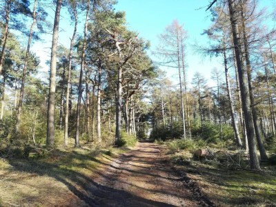 Holiday house 4 Personen Ferienhaus in Gedser - Outdoor photo 21