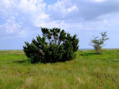 Holiday house 4 Personen Ferienhaus in Gedser - Outdoor photo 22