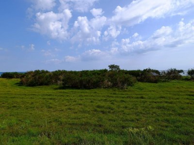 Holiday house 4 Personen Ferienhaus in Gedser - Outdoor photo 25