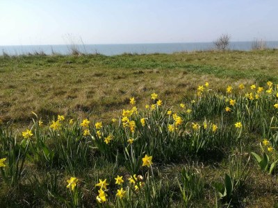 Holiday house 4 Personen Ferienhaus in Gedser - Outdoor photo 35