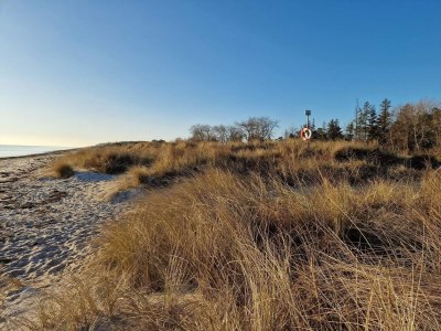 Holiday house 4 Personen Ferienhaus in Gedser - Outdoor photo 39