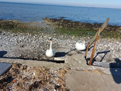 Holiday house Luxury Retreat with Pool - By Traum Ferienwohnungen - Outdoor photo 37