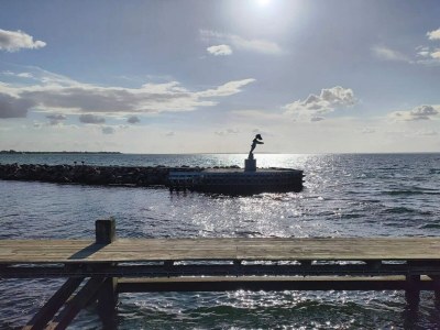 Holiday house Luxury Retreat with Pool - By Traum Ferienwohnungen - Outdoor photo 38