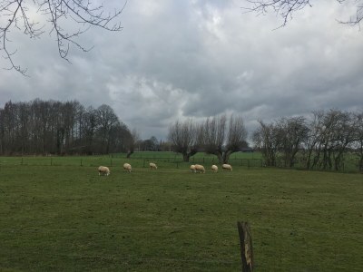 Farmhouse Farmhouse in Zelhem with Sauna Retreat - Environment photo 23