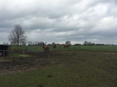 Farmhouse Farmhouse in Zelhem with Sauna Retreat - Environment photo 24