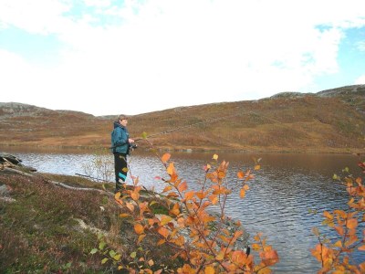 Holiday house 6 Personen Ferienhaus in Ballangen - Outdoor photo 5