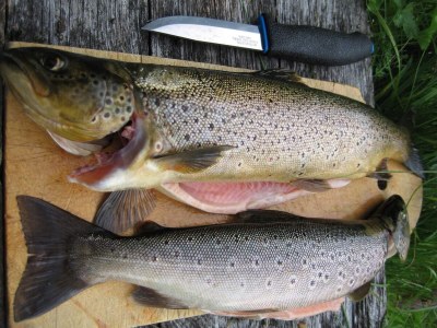 Holiday house 6 Personen Ferienhaus in Ballangen - Outdoor photo 14