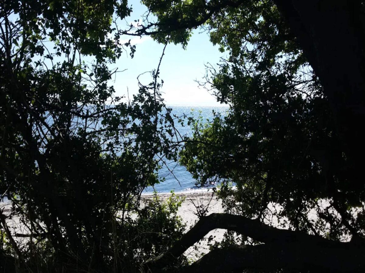 Holiday house Helles Strandhaus in Marielyst -- By Traum Ferienwohnungen - Outdoor photo 3