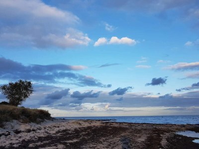 Holiday house Helles Strandhaus in Marielyst -- By Traum Ferienwohnungen - Outdoor photo 30