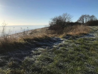 Holiday house Helles Strandhaus in Marielyst -- By Traum Ferienwohnungen - Outdoor photo 38