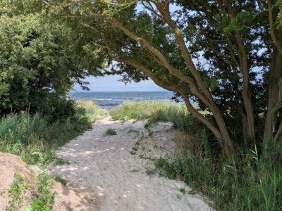 Holiday house Helles Strandhaus in Marielyst -- By Traum Ferienwohnungen - Outdoor photo 43