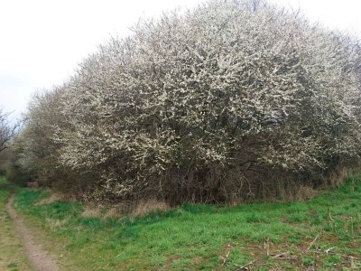 Holiday house Modernes Refugium mit Blick -- By Traum Ferienwohnungen - Outdoor photo 8