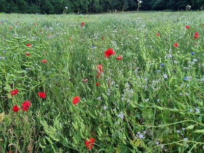 Holiday house Modernes Refugium mit Blick -- By Traum Ferienwohnungen - Outdoor photo 22