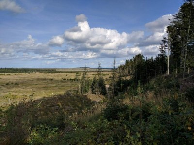 Holiday house 10 person holiday home in Thisted - Outdoor photo 29