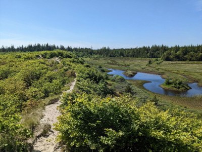 Holiday house 10 person holiday home in Thisted - Outdoor photo 30