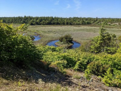 Holiday house 10 person holiday home in Thisted - Outdoor photo 31