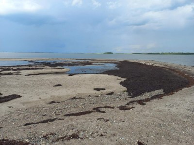 Holiday house 6 person holiday home in Thyholm - Outdoor photo 13