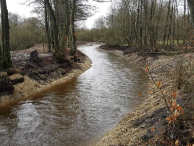 Holiday house 6 person holiday home in Ansager - Outdoor photo 29