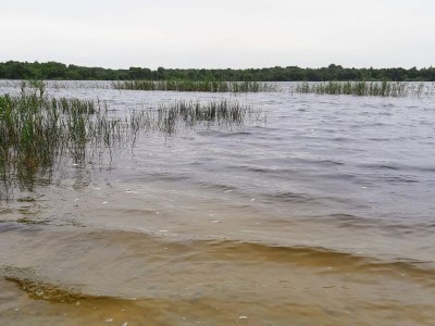 Holiday house 6 person holiday home in Ansager - Outdoor photo 34