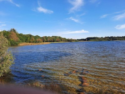 Holiday house 6 person holiday home in Ansager - Outdoor photo 35