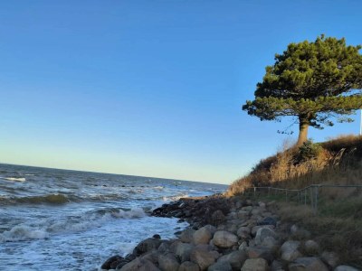 Holiday house 18 person holiday home in Bogense - Outdoor photo 39