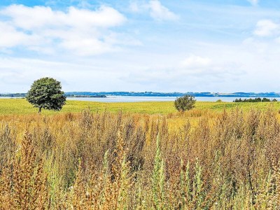 Apartment 6 Personen Ferienhaus in Faaborg-By Traum - Outdoor photo 11
