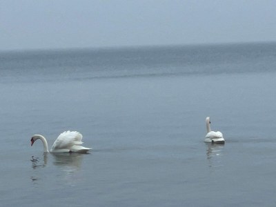 Apartment 6 Personen Ferienhaus in Faaborg-By Traum - Outdoor photo 12