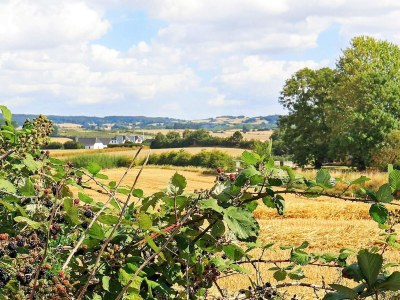 Apartment 6 Personen Ferienhaus in Faaborg-By Traum - Outdoor photo 36