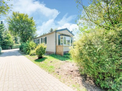 Chalet Chalet in Stegeren near Hiking Trails - Outdoor photo 7