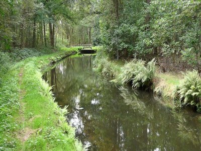Chalet Chalet in Stegeren near Hiking Trails - Environment photo 34